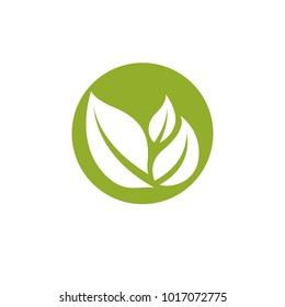 Vector graphic illustration of green leaves. Vegan conceptual abstract logotype for use in holistic medicine, rehabilitation or pharmacology.