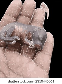 vector graphic illustration of a hand holding a newborn baby squirrel and its hairless body.