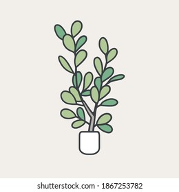 Vector graphic illustration of houseplant.