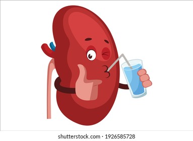 Ilustración gráfica vectorial. El riñón está bebiendo jugo. Individualmente sobre fondo blanco.