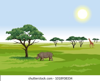 vector graphic illustration - landscape of the African Savannah on a Sunny day.
rhinoceros next to acacia, a group of trees and giraffe on the horizon.