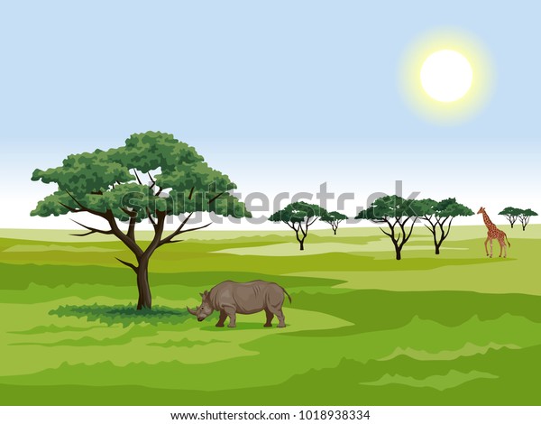 ベクター画像イラスト 晴れた日のアフリカのサバンナの風景 アカシアの隣にいるサイ 木とキリンの群れ のベクター画像素材 ロイヤリティフリー