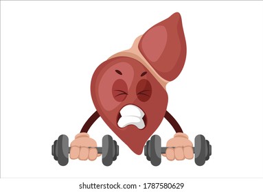 Vector graphic illustration. Liver is picking up dumbbells. Individually on white background.	