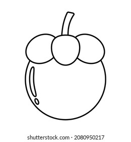 Vector graphic illustration of mangosteen, outline only. Perfect for coloring book.