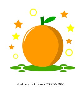 Vector graphic illustration of orange. Perfect for fruit-based products like juice, etc.