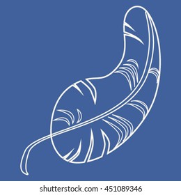 Vector Graphic illustration quill feathers on blue background