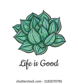 Vector graphic illustration and a quote, expression with green echeveria plant