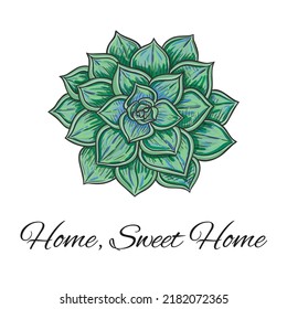 Vector graphic illustration and a quote, expression with green echeveria plant on a white background