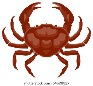 Vector Graphic Illustration Of A Red Crab, Top View