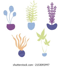 Ilustración gráfica vectorial del conjunto de plantas ornamentales lindas en macetas. Cinco tipos de plantas ornamentales coloridas al estilo escandinavo. Es bueno para emoticones, planificadores, tarjetas, invitaciones, scrapbooking.