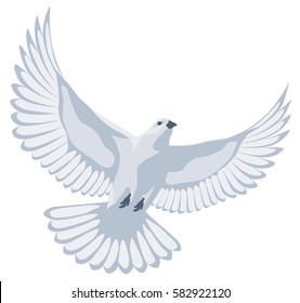 Vector graphic illustration of a soaring bird of a dove with spread wings