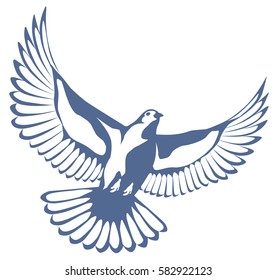 Vector graphic illustration of a soaring bird of a dove with spread wings