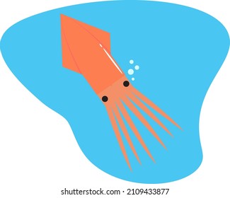Vector graphic illustration of squid swimming in the sea