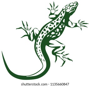 vector graphic illustration of a stylized crouching lizard