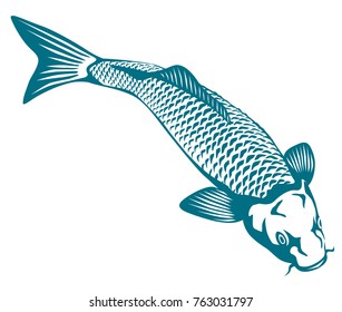 vector graphic illustration of a stylized fish koi