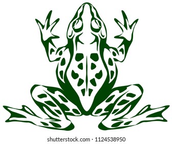 vector graphic illustration of stylized frog