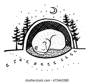Vector Graphic Illustration Teddy Bear In Hibernation