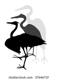 A vector graphic illustration of three great blue Heron silhouettes.