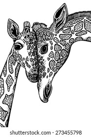 Vector graphic illustration with two giraffes in love. 