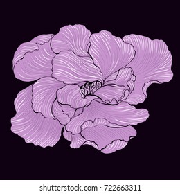 Vector graphic illustration. Use printed materials, signs, items, websites, maps, posters, postcards, packaging.  Abstract wallpaper with floral motifs.