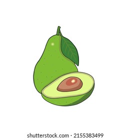 Vector graphic illustration of a very delicious avocado with a healthy taste