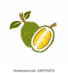 Vector graphic illustration of a whole durian fruit and its halves showing its yellow flesh. Depicting the tropical nature and unique appeal of the exotic fruit from Southeast Asia.