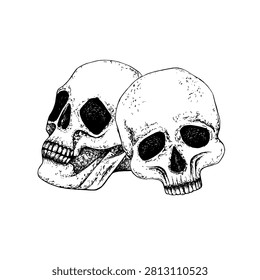 Vector graphic illustration whole