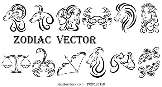 Vector graphic illustration zodiac signs  All zodiac signs in line art concept: Aries; Taurus; Gemini; Cancer; Leo; Virgo; Libra; Scorpio; Sagittarius; Capricorn; Aquarius   Pisces 