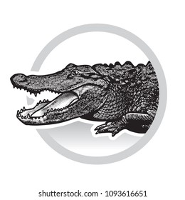 Vector graphic image of American alligator.
Black and white illustration of crocodilian reptile, logotype, clip art in engraving style, design element for logo or template.