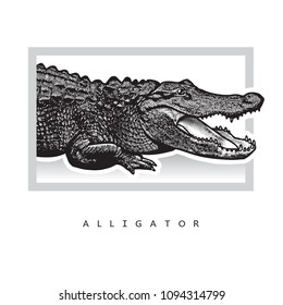 Vector graphic image of American alligator (Florida gator).
Black and white illustration of crocodilian reptile, logotype, clip art in engraving style, design element for logo or template.