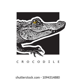 Vector graphic image of American alligator (Florida gator).
Black and white illustration of crocodilian reptile, logotype, clip art in engraving style, design element for logo or template.