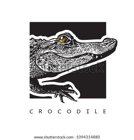 Vector graphic image of American alligator (Florida gator).
Black and white illustration of crocodilian reptile, logotype, clip art in engraving style, design element for logo or template.