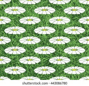 Vector. Graphic image of chamomile daisies flower. Graphical representation of gerber. Endless stylish texture. Template for design textile, backgrounds, wrappers, package