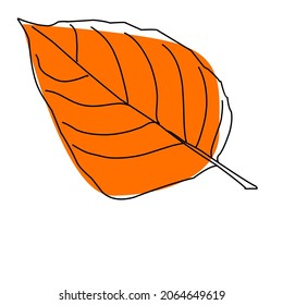 vector graphic image of the contour of an autumn leaf