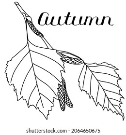 vector graphic image of the contour of an autumn leaf