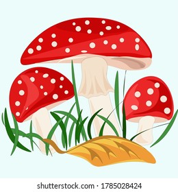 Imagen vectorial gráfica de hongos agaric de mosca sobre fondo azul claro.