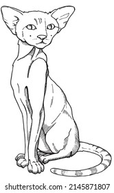 vector graphic image of a graceful sphinx cat, coloring book, tattoo sketch, sticker