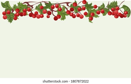 Vector graphic image of hawthorn branches and berries on light green background. Card with text space.