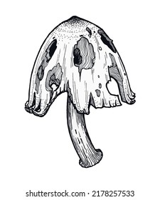 vector graphic image of an old overripe mushroom, wild toadstool, halloween sticker, black and white line art
