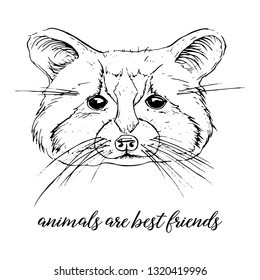 Vector graphic images of animals. animals are best friends.