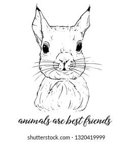 Vector graphic images of animals. animals are best friends.