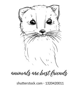 Vector graphic images of animals. animals are best friends.