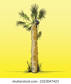 Vektorgrafik eines Landschaftsarbeiters, der eine Palme schneidet
