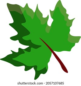 vector graphic leaf colored   design