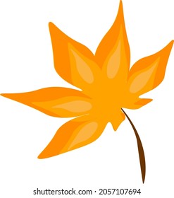 vector graphic leaf colored   design