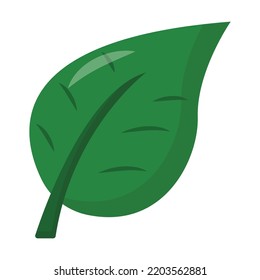 Vector graphic of leaf. Green leaf illustration with flat design style. Suitable for content design assets