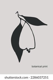 Vector graphic with leaves and pears. Decor printable art. Contemporary design for prints, posters, stationery, logos, branding, invitations, social media posts