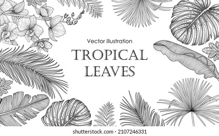 Vector graphic linear illustration banner template with tropical leaves and orchid flowers