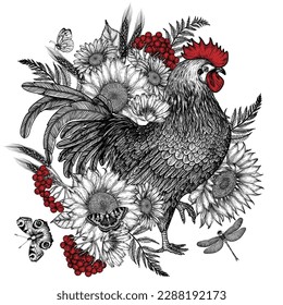 Vector graphic linear illustration of a rooster surrounded by flowers of sunflower, chamomile, chicory, fern, viburnum in engraving style