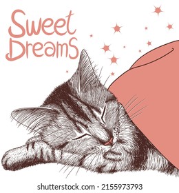 Vector graphic linear tabby cat sleeping under a blanket in engraving style